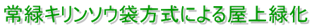 常緑キリンソウ袋方式による屋上緑化